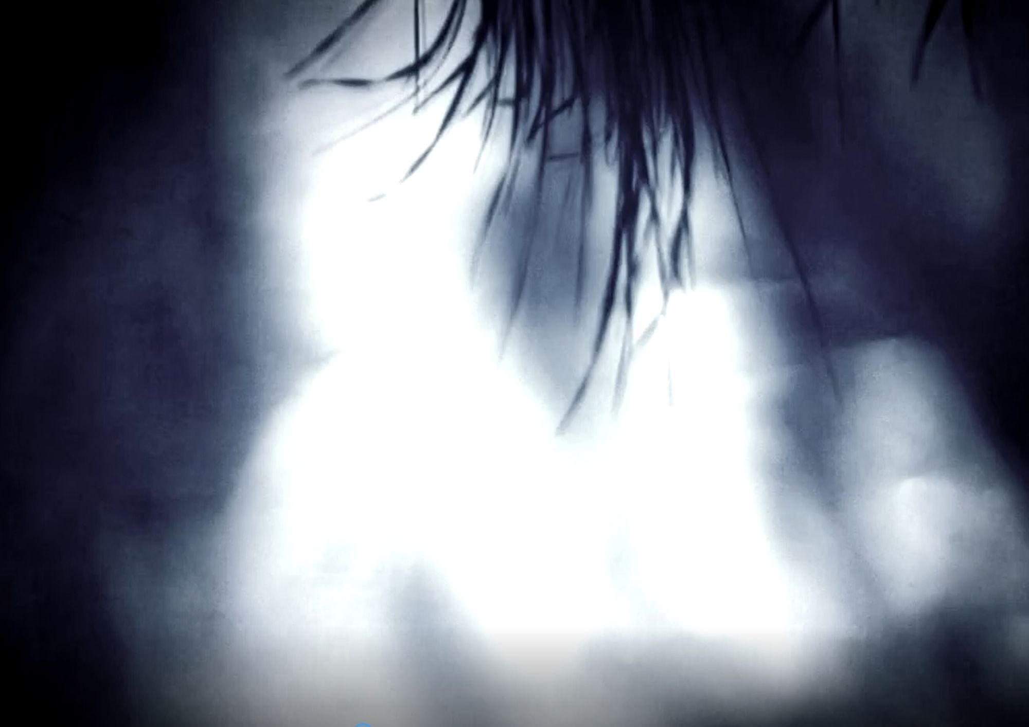 capturer%20l_ombre%282%29